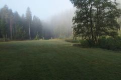 Morgennebel