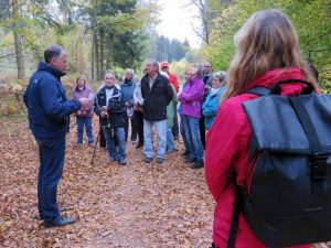 Walking to heaven - Ein Spaziergang zum Himmel