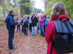 Walking to heaven - Ein Spaziergang zum Himmel