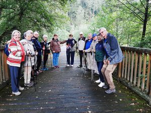 Gymnastik und Nordic Walking im Pfälzerwald